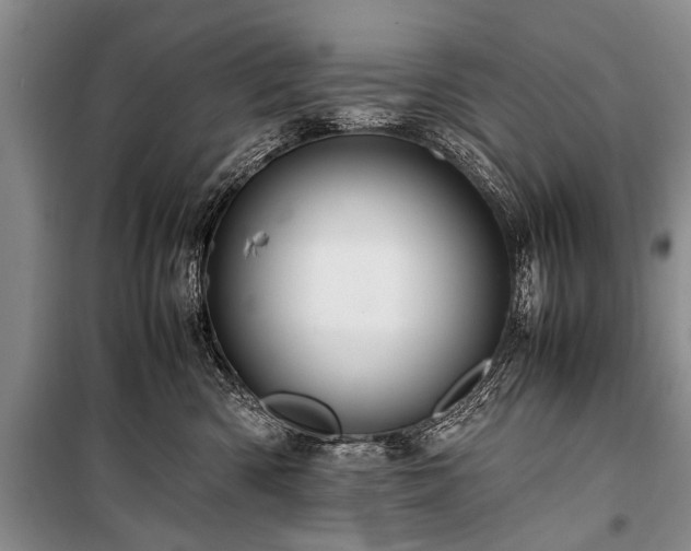 X0000100950426200807011313