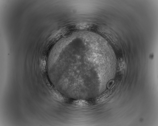 X0000100950427200807011313