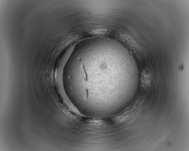 X0000100950428200807011313