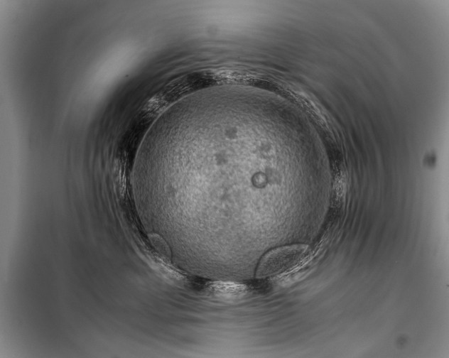 X0000100950429200807011313