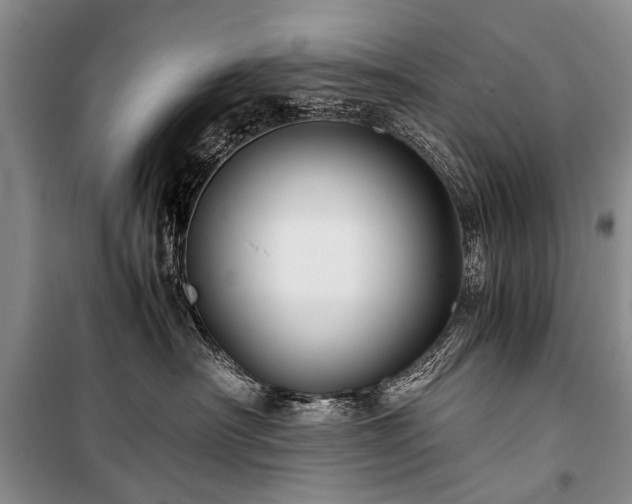 X0000100950430200807011313