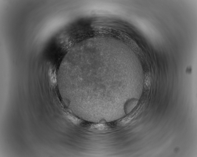 X0000100950431200807011313