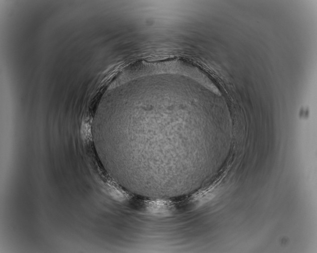 X0000100950432200807011313