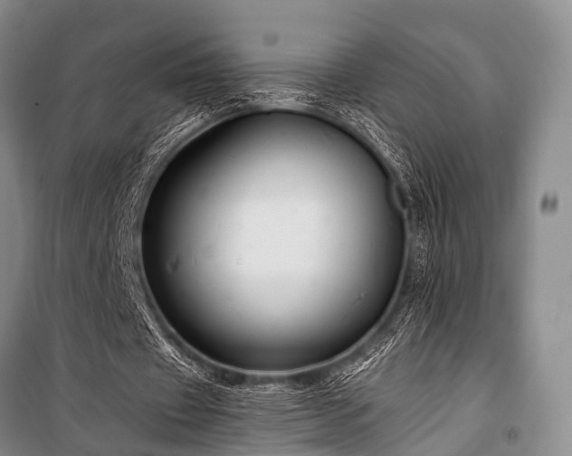 X0000100950433200807011312