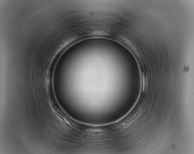 X0000100950435200807011312
