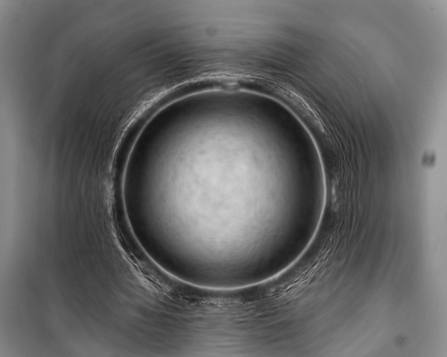 X0000100950436200807011312