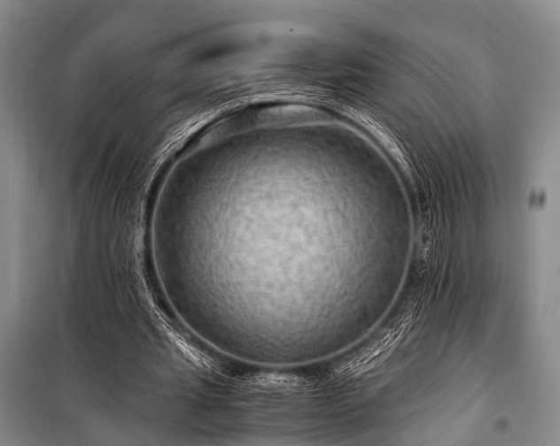 X0000100950437200807011312