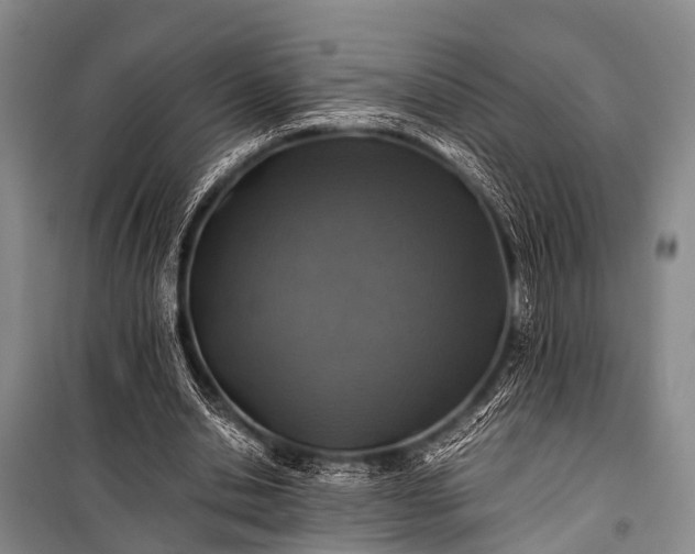 X0000100950438200807011312