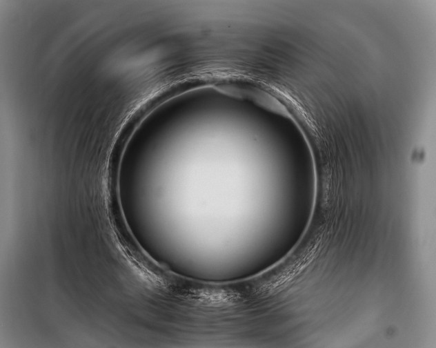 X0000100950439200807011312