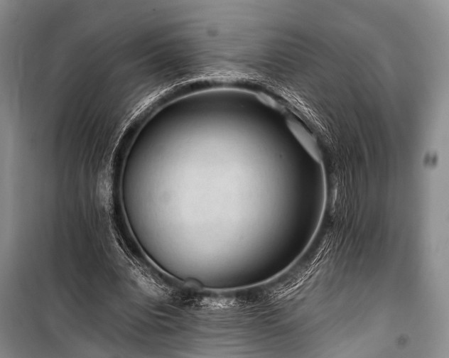 X0000100950440200807011312