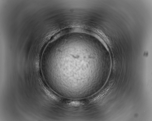 X0000100950441200807011312