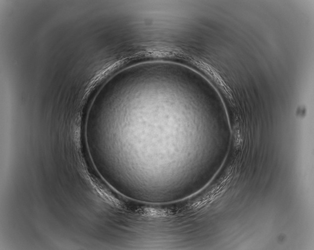 X0000100950442200807011312