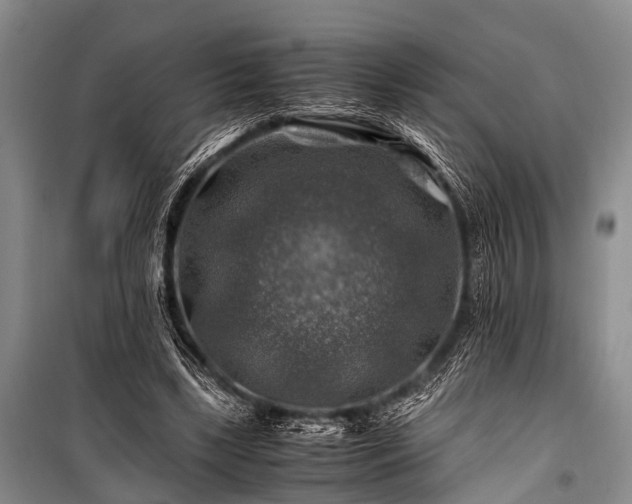 X0000100950443200807011312