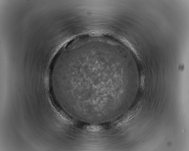 X0000100950444200807011312