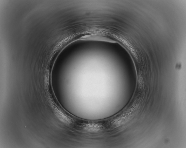 X0000100950445200807011312