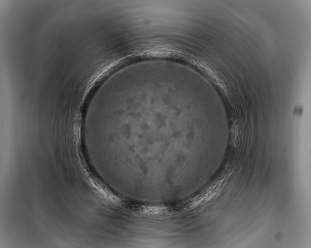 X0000100950446200807011312