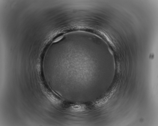 X0000100950447200807011312