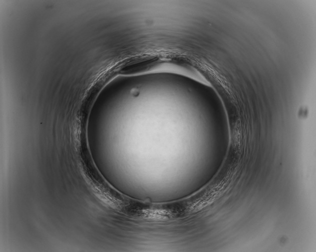 X0000100950448200807011312