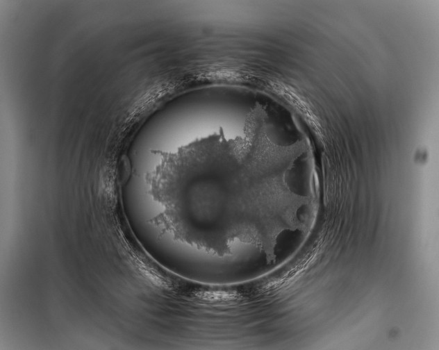 X0000100950449200807011312