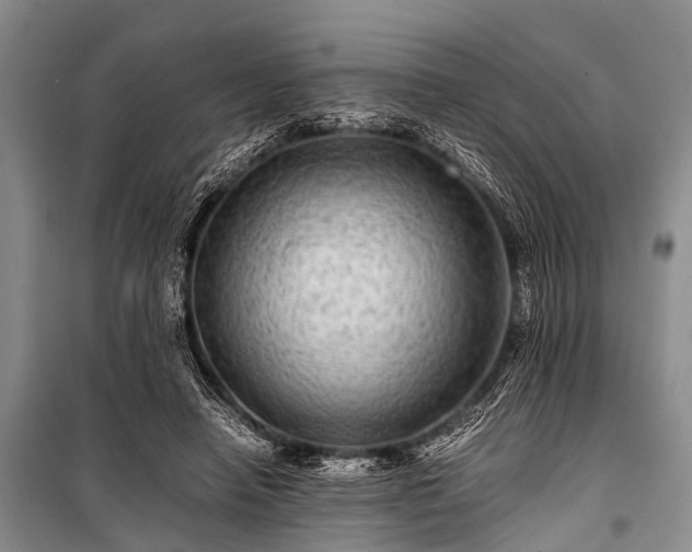X0000100950450200807011312