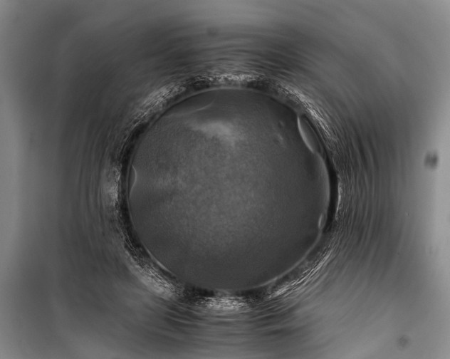 X0000100950451200807011312