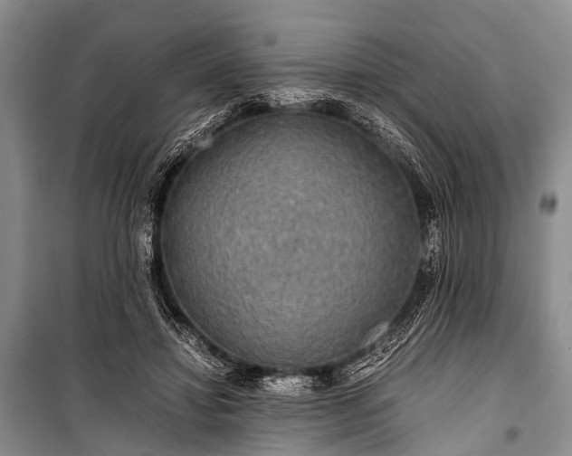 X0000100950452200807011312