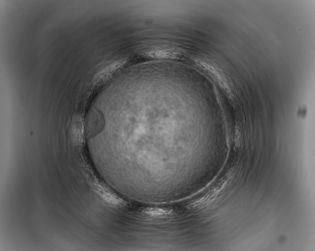 X0000100950453200807011312