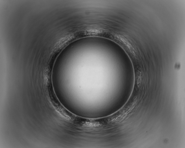 X0000100950455200807011312