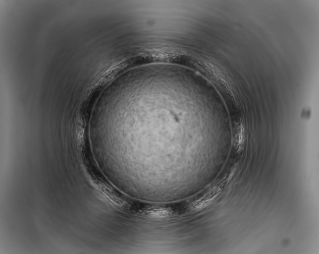 X0000100950456200807011312