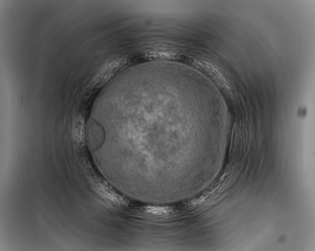 X0000100950457200807011312
