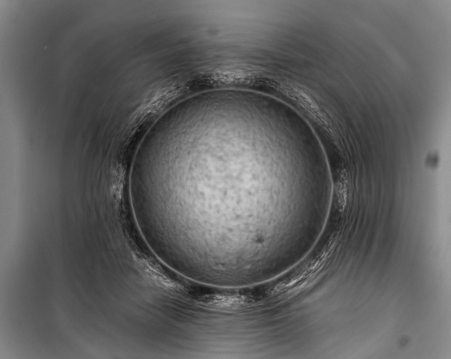 X0000100950458200807011312
