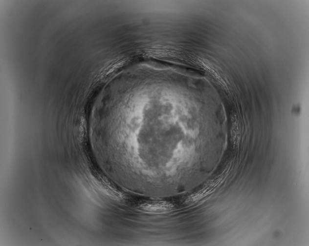 X0000100950459200807011312