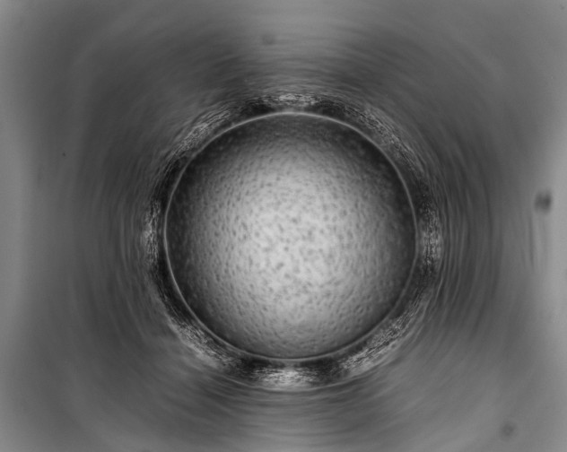 X0000100950460200807011313