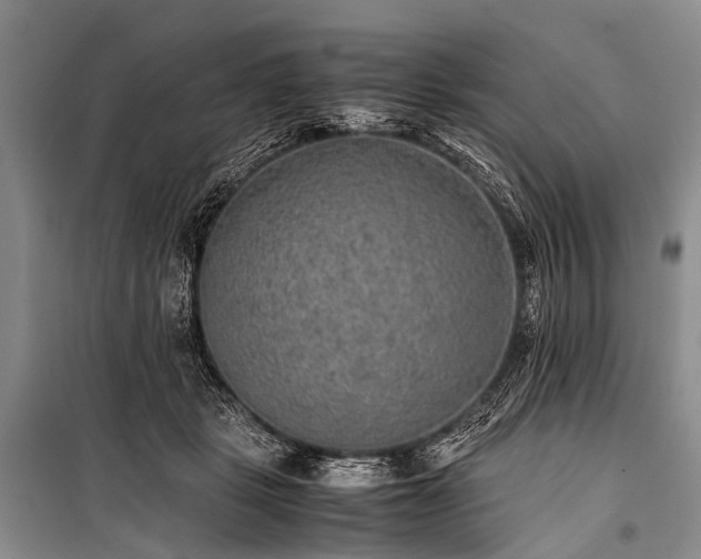 X0000100950461200807011313