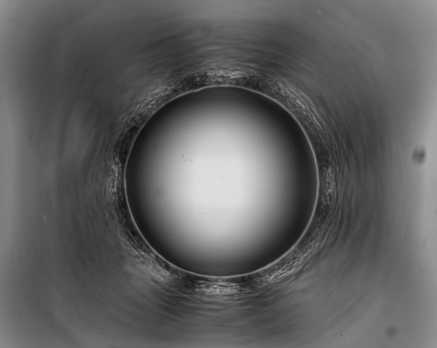 X0000100950463200807011313