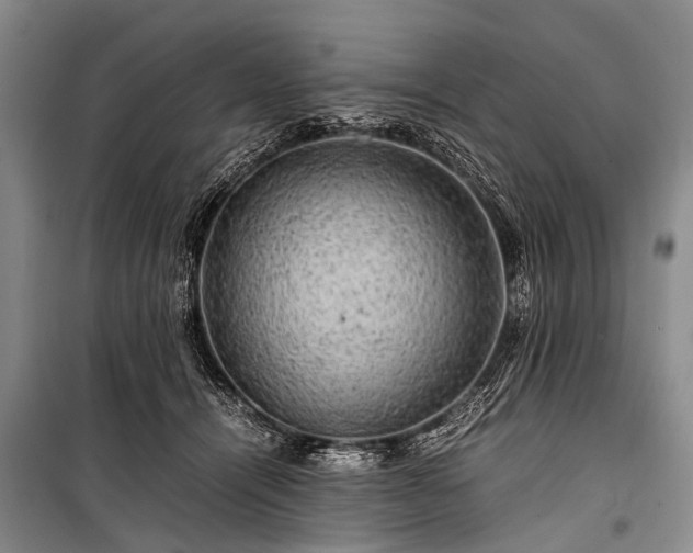 X0000100950464200807011313