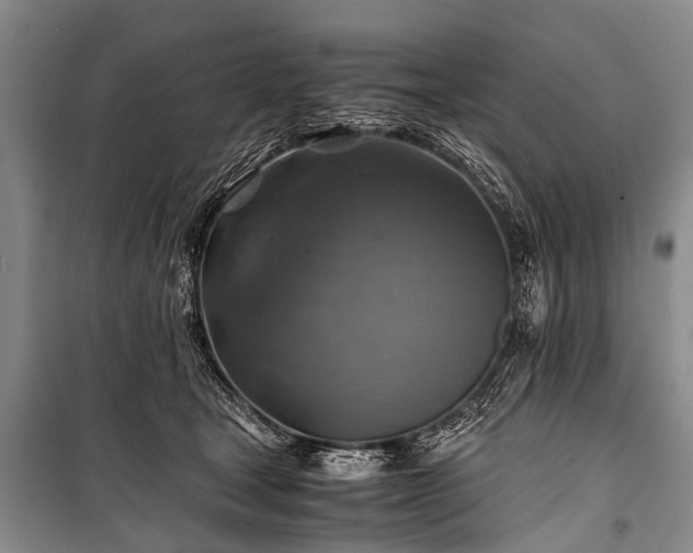 X0000100950465200807011313