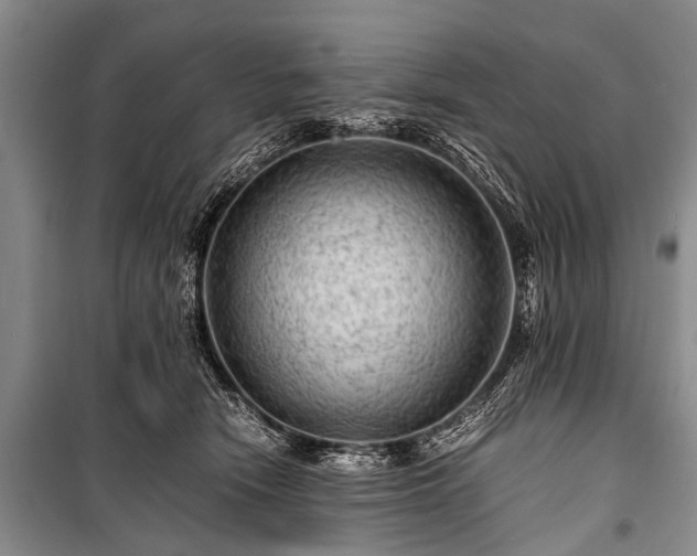 X0000100950466200807011313