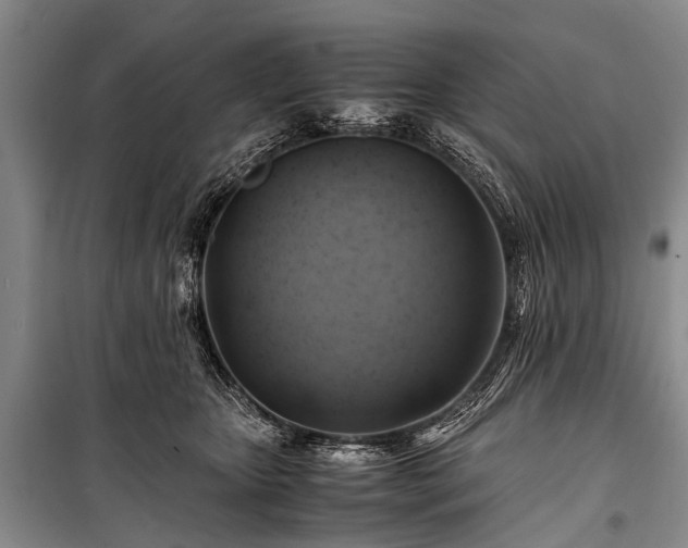 X0000100950467200807011313