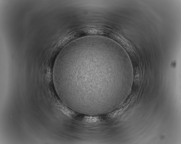 X0000100950469200807011313