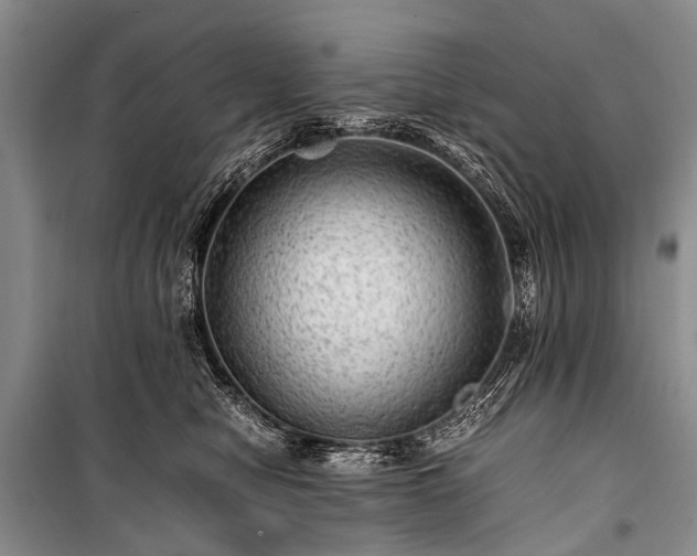 X0000100950470200807011313