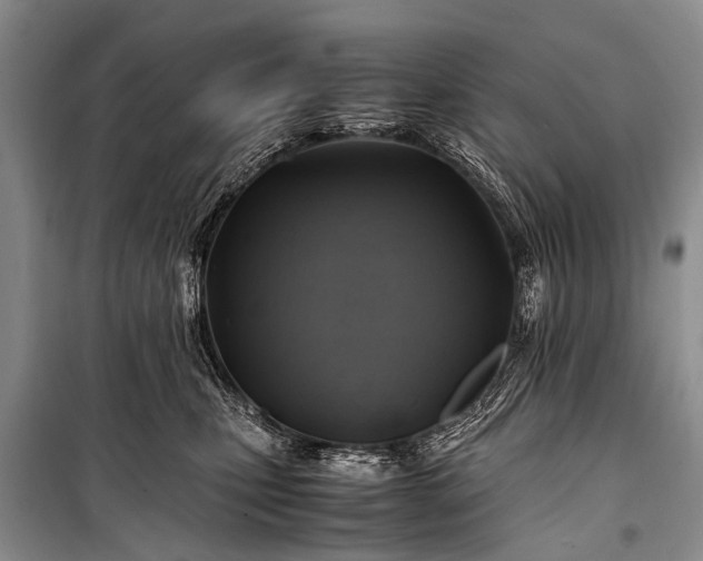 X0000100950471200807011313