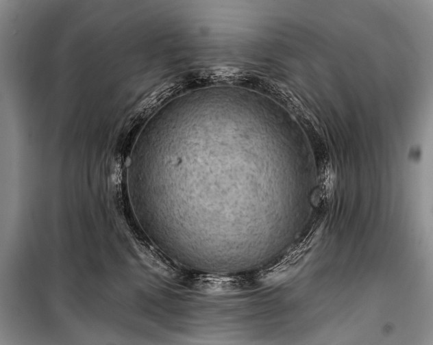 X0000100950472200807011313