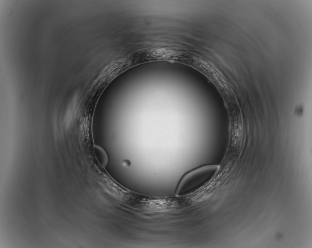 X0000100950473200807011313
