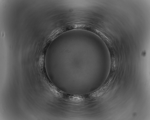 X0000100950475200807011313
