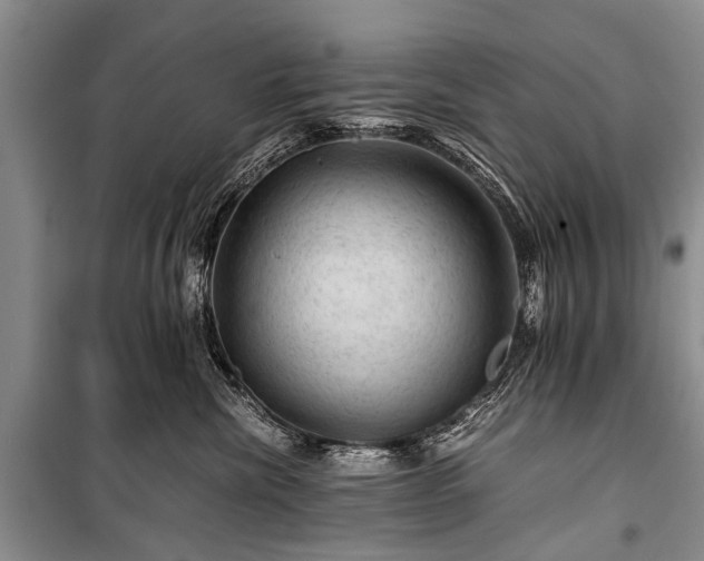 X0000100950476200807011313
