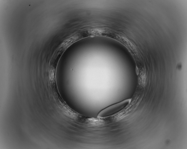 X0000100950477200807011313