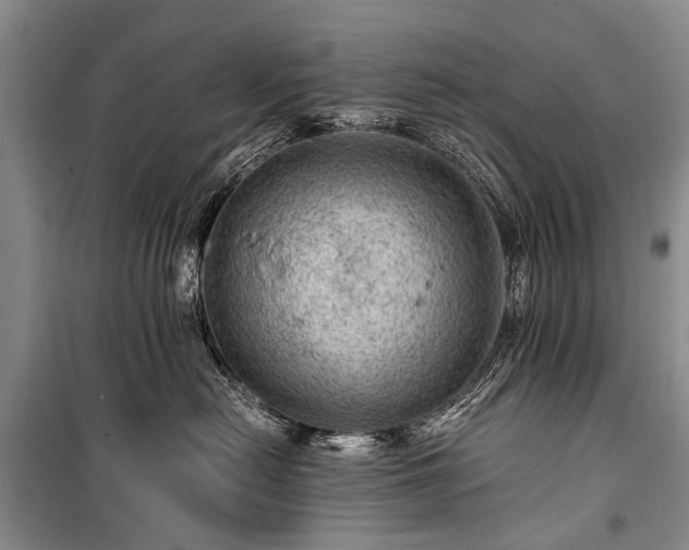 X0000100950478200807011313