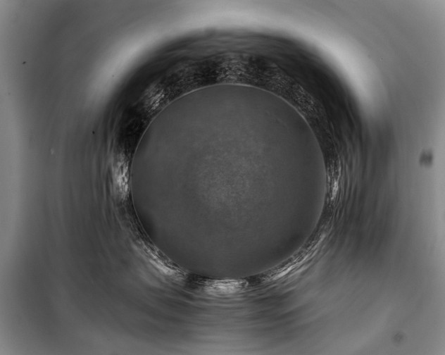 X0000100950479200807011313