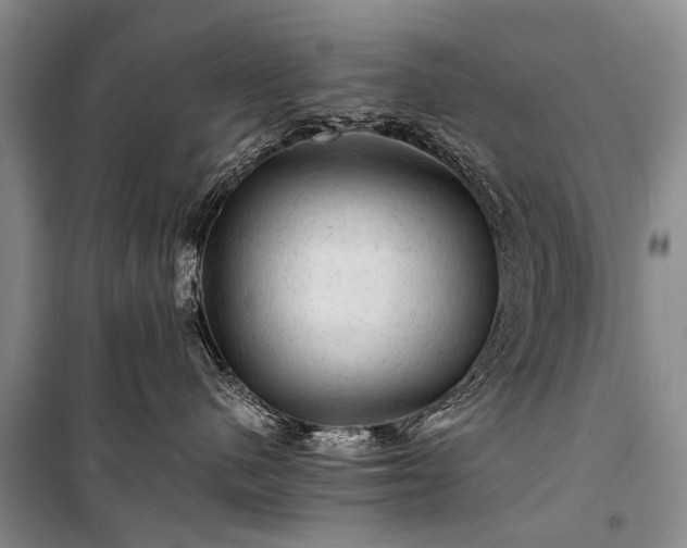 X0000100950480200807011313